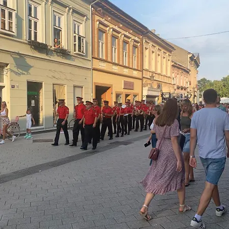 Artists Flat In Centre *